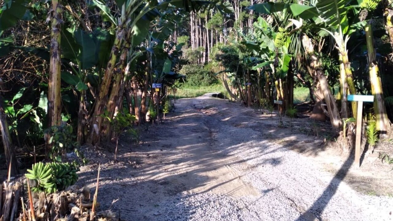 Photo of Outdoor in Rio Vermelho Sul