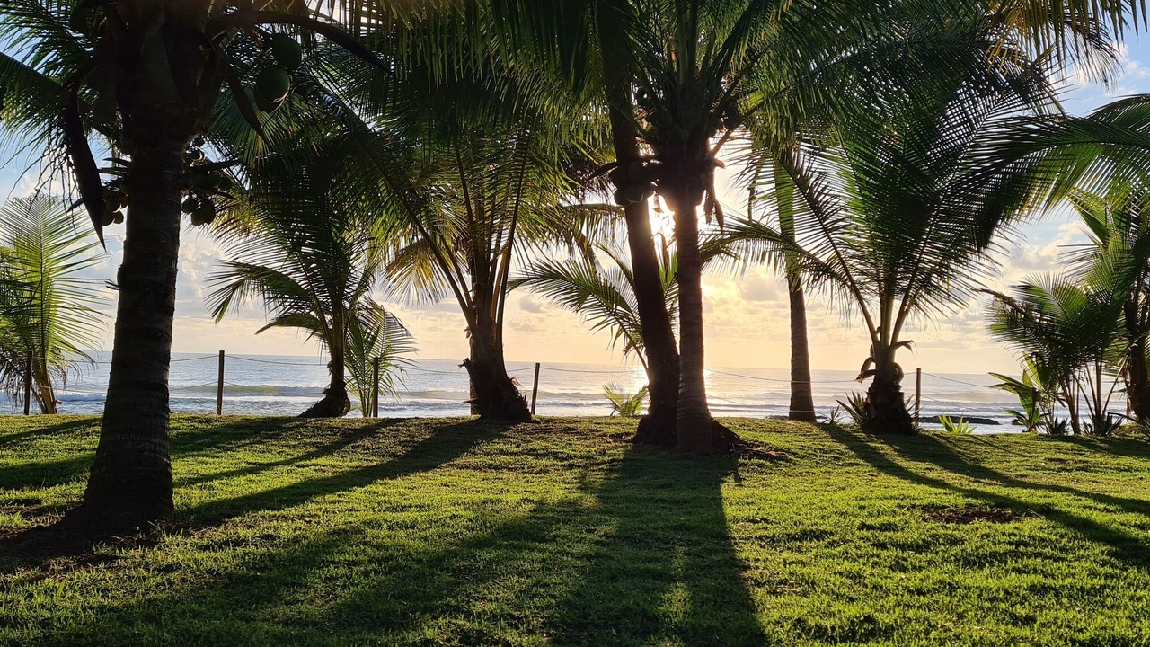 Photo of Others in Barra Grande