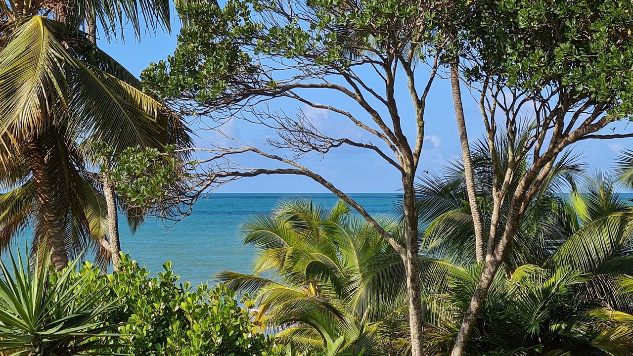 Photo of Others in Barra Grande