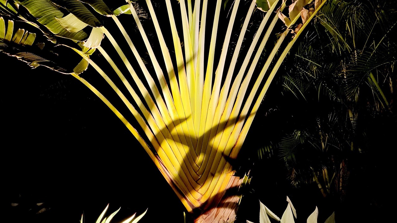 Photo of Others in Barra Grande