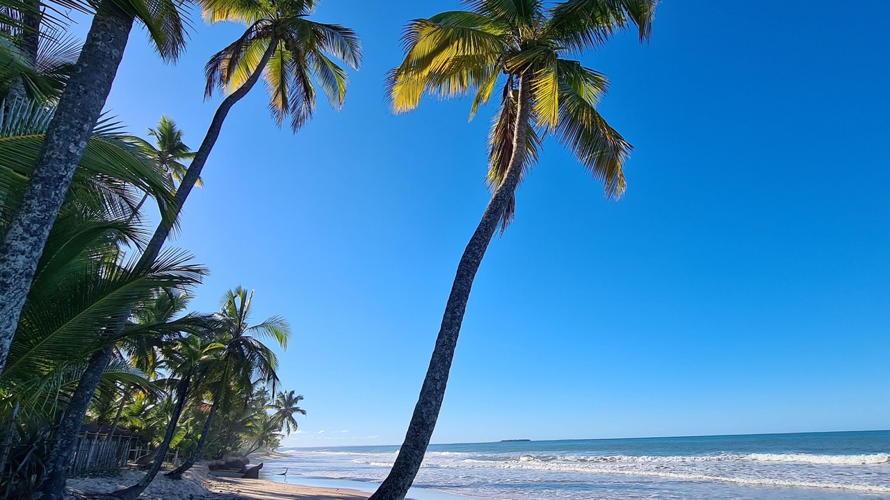 Photo of Others in Barra Grande