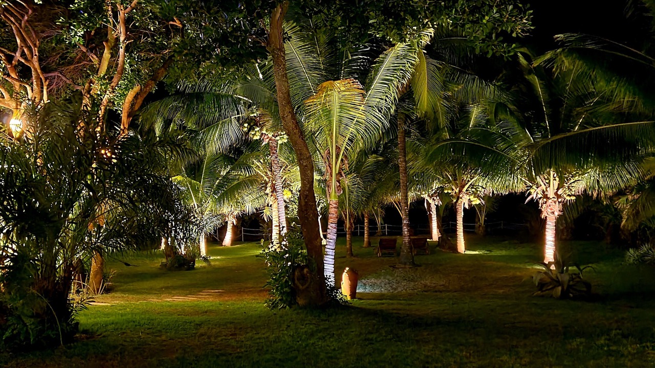 Photo of Others in Barra Grande