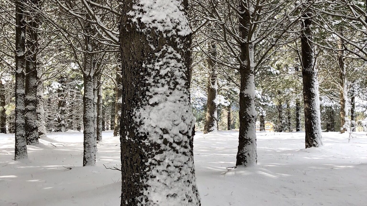 Photo of Outdoor in San Martin de los Andes
