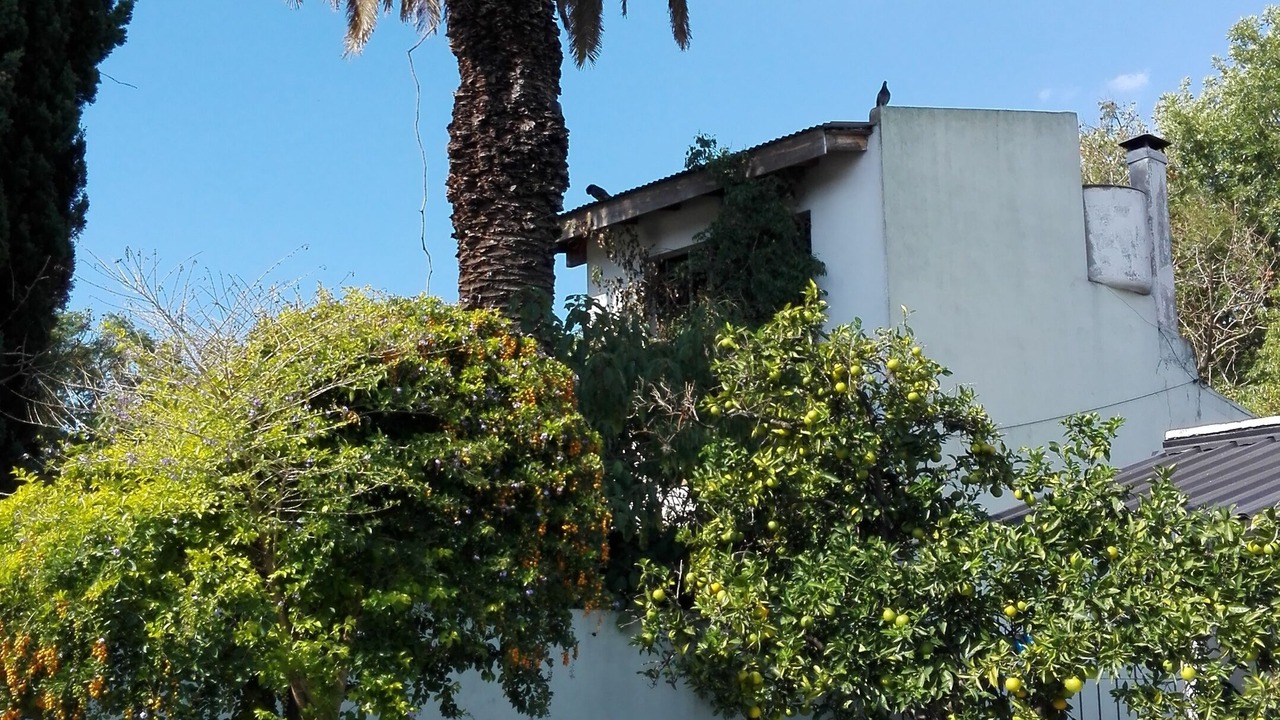 Photo of Others in Villa Adelina
