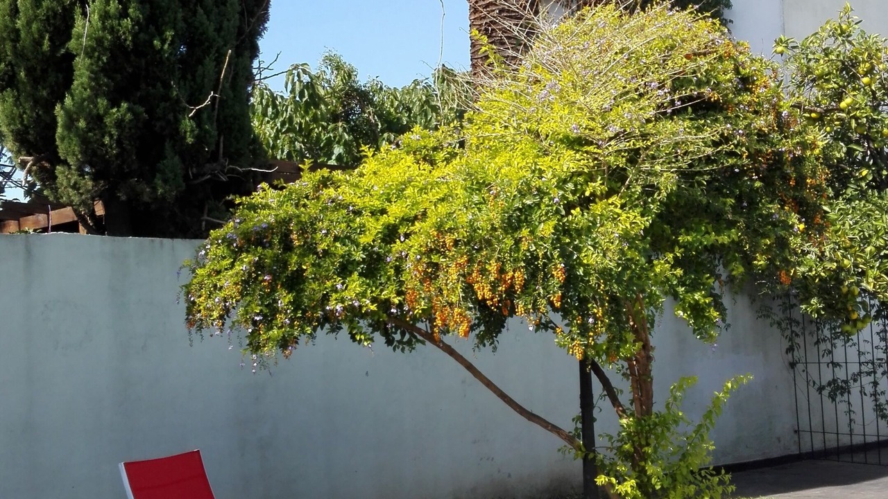Photo of Others in Villa Adelina