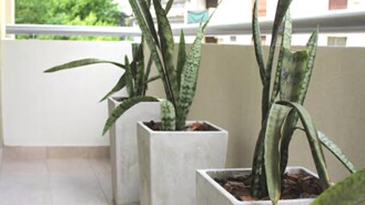 Photo of Patio Balcony in Belgrano