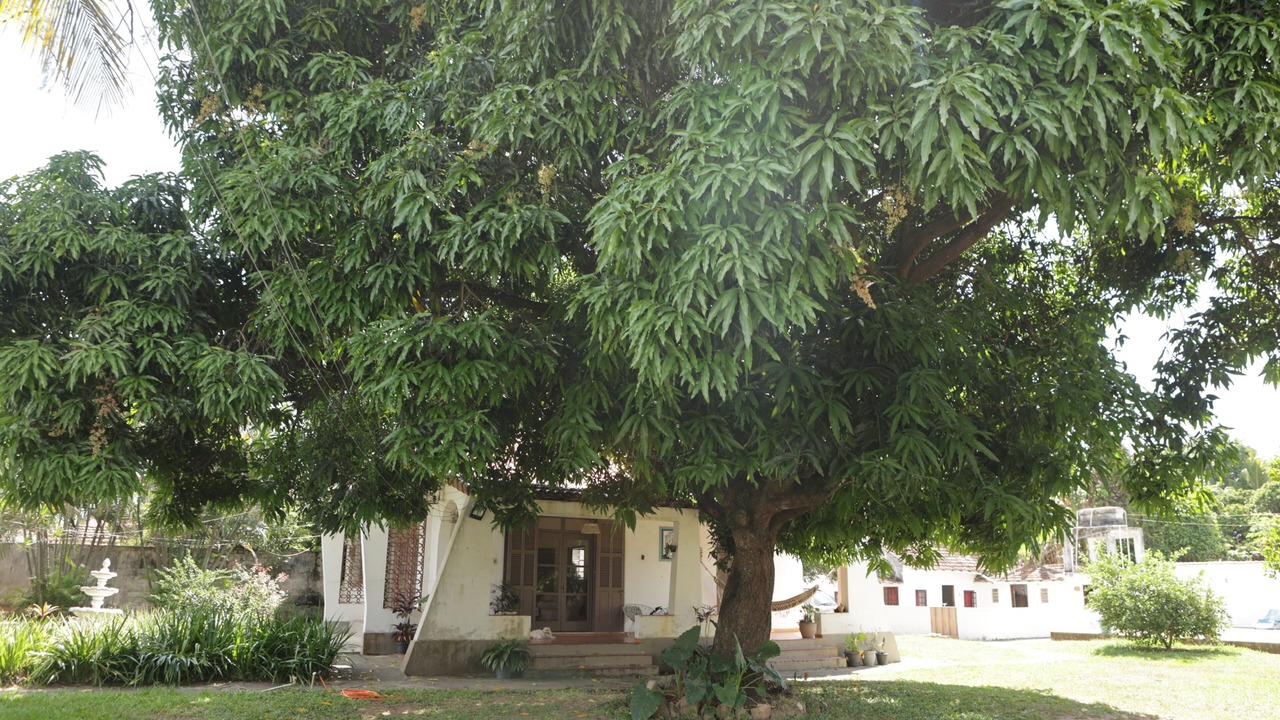 Photo of Outdoor in Guaratiba