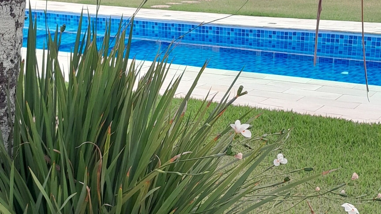 Photo of Outdoor in Santa Terezinha
