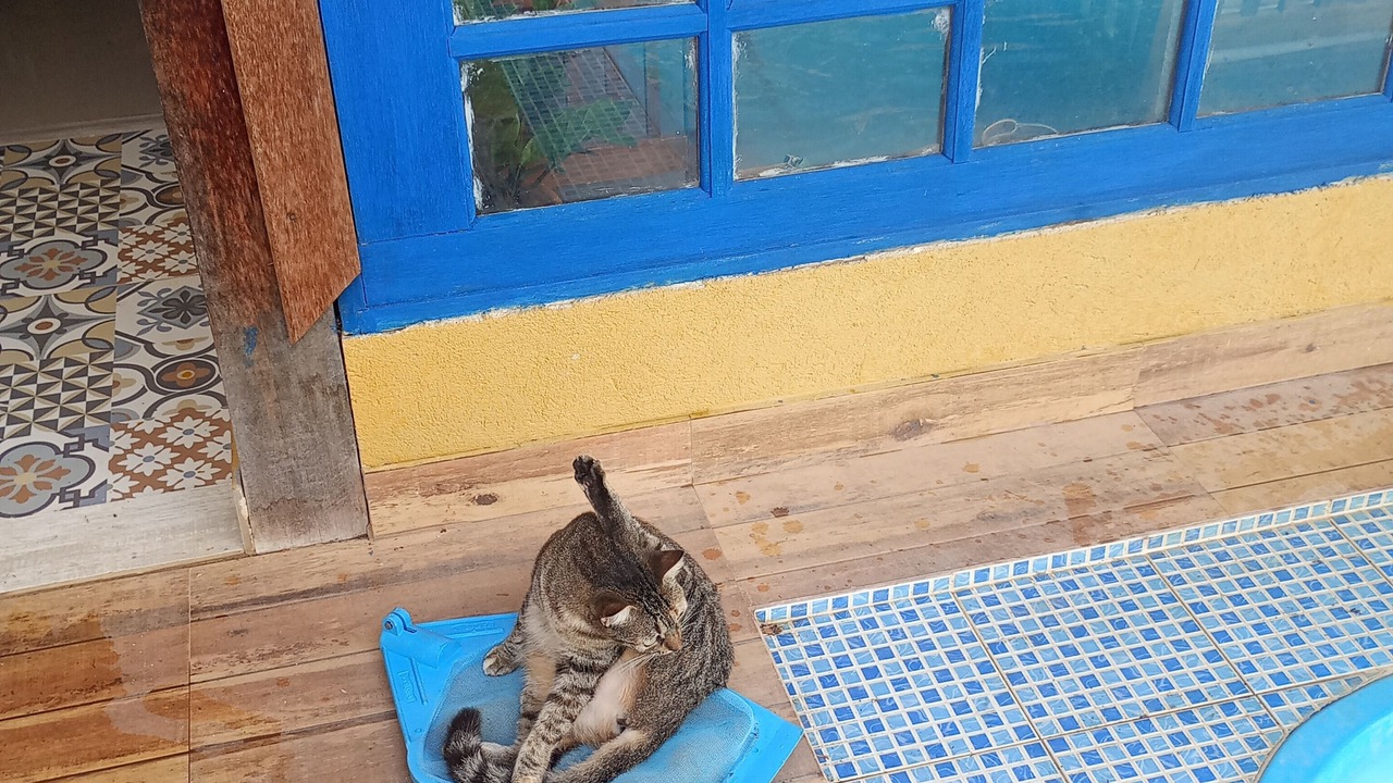 Photo of Outdoor in Barra de Guaratiba