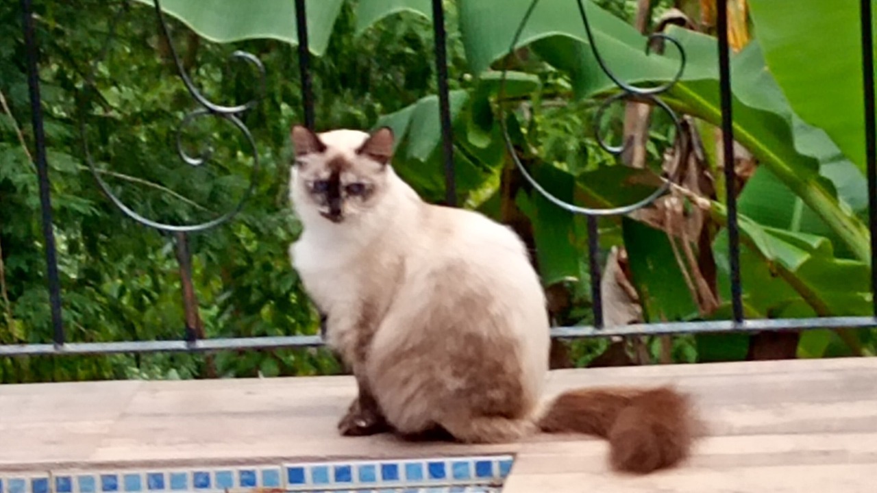 Photo of Outdoor in Barra de Guaratiba