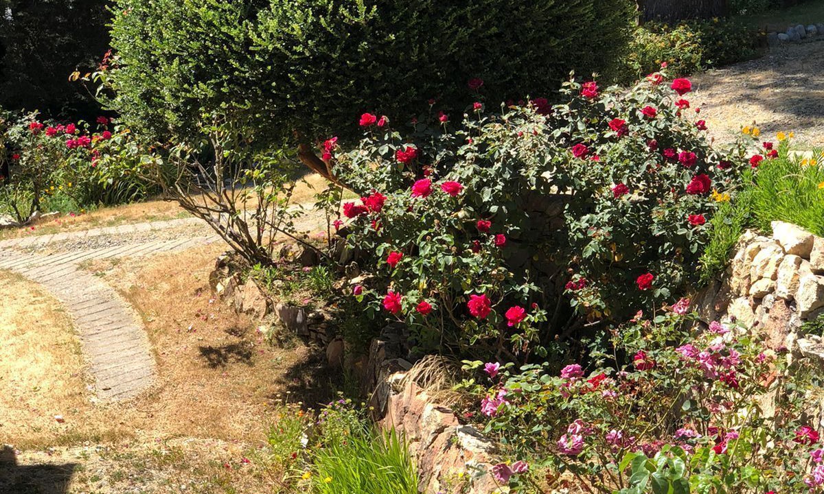 Photo of Outdoor in Villa Catedral
