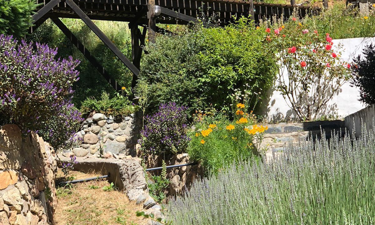 Photo of Outdoor in Villa Catedral