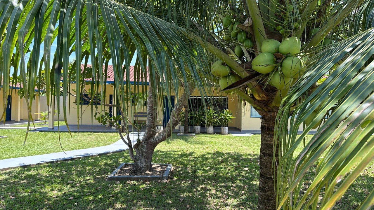 Photo of Outdoor in Novo Airao