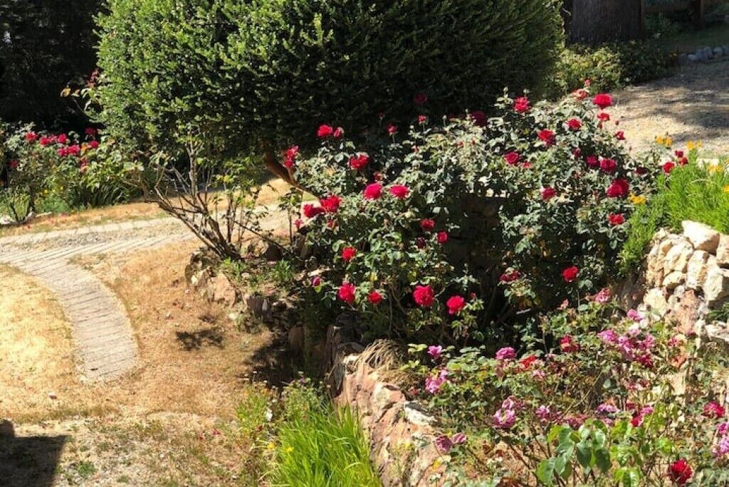 Photo of Outdoor in Villa Los Coihues