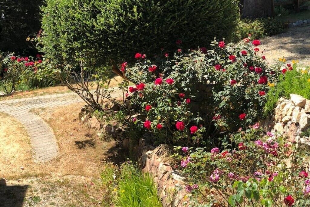 Photo of Outdoor in Villa Los Coihues