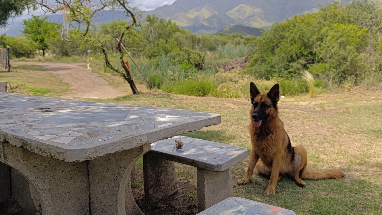 Photo of Outdoor in San Javier Department