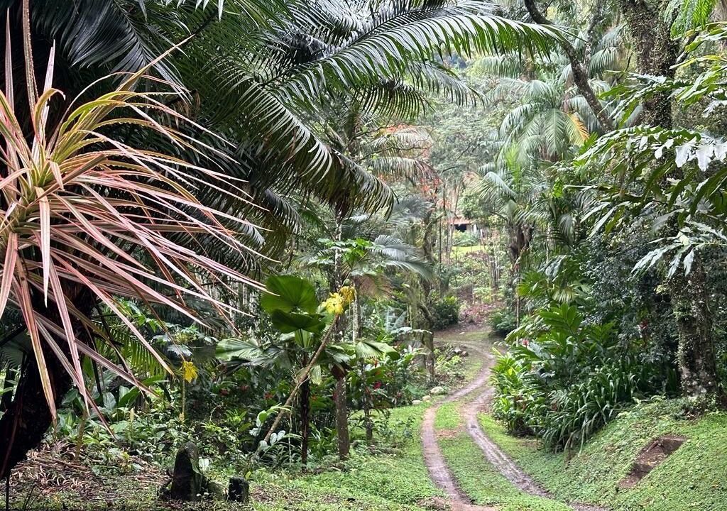 Photo of Outdoor in Itaguai