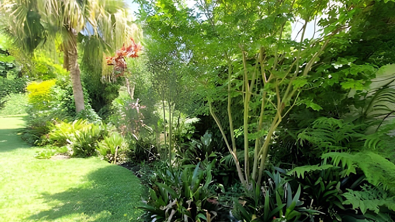 Photo of Outdoor in San Isidro