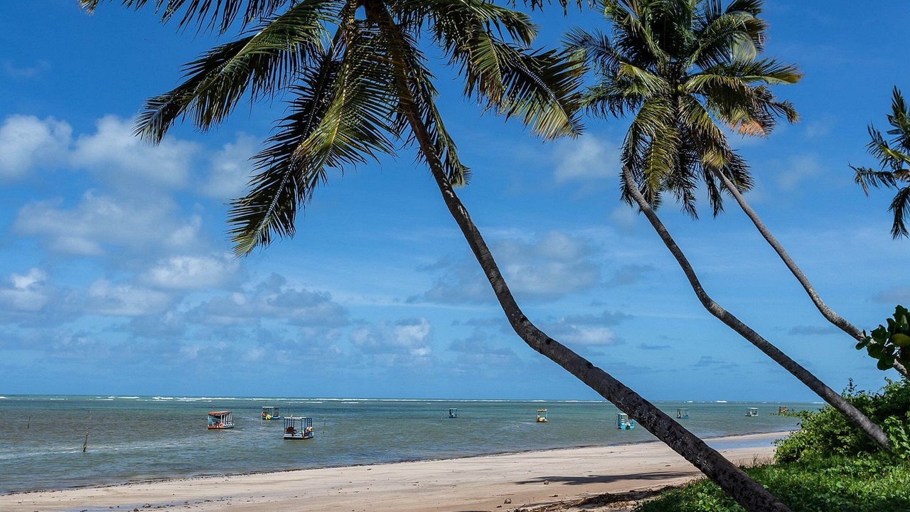 Photo of Others in Porto de Pedras