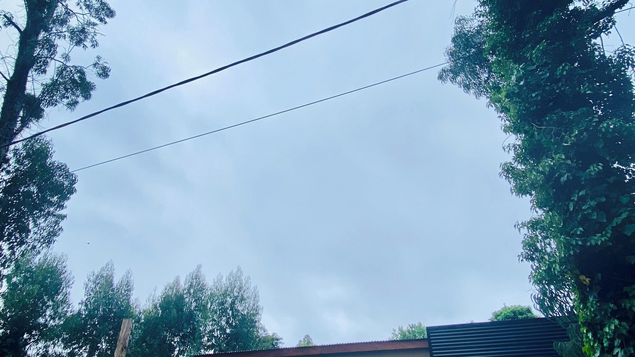 Photo of Outdoor in Bosque Peralta Ramos
