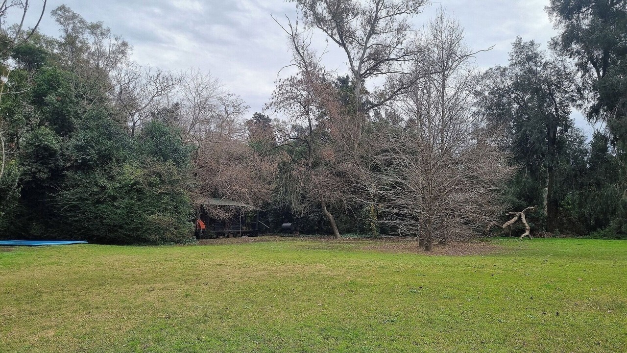 Photo of Others in Pilar Centro