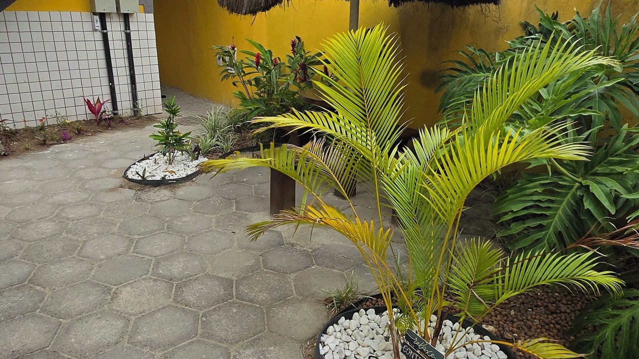 Photo of Outdoor in Jardim Esperanca