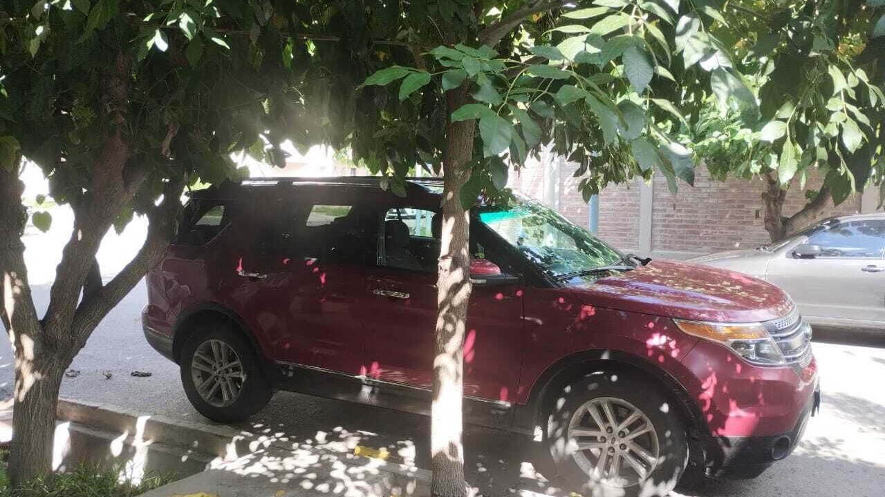 Photo of Outdoor in Godoy Cruz