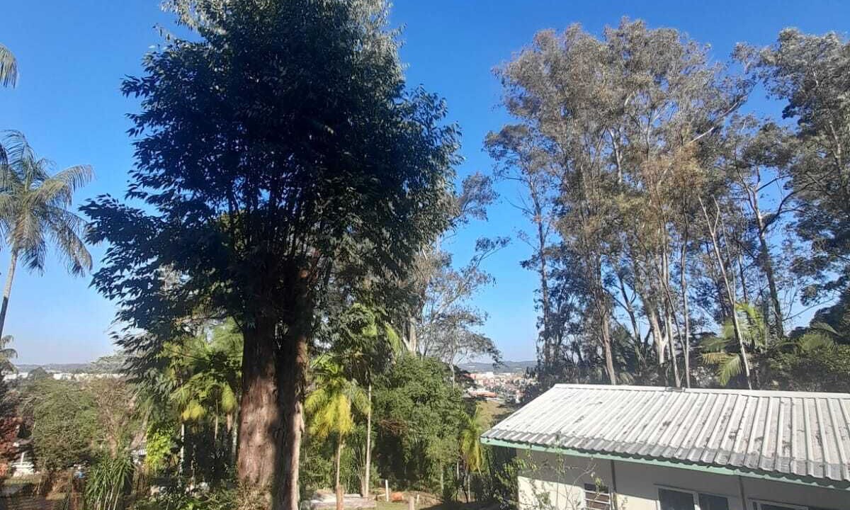 Photo of Others in Jardim Nova Coimbra