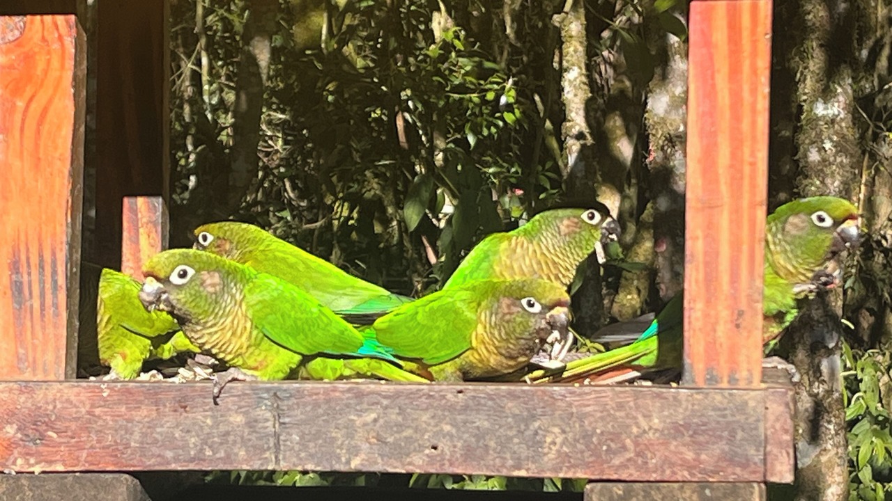 Photo of Others in Campos do Jordao