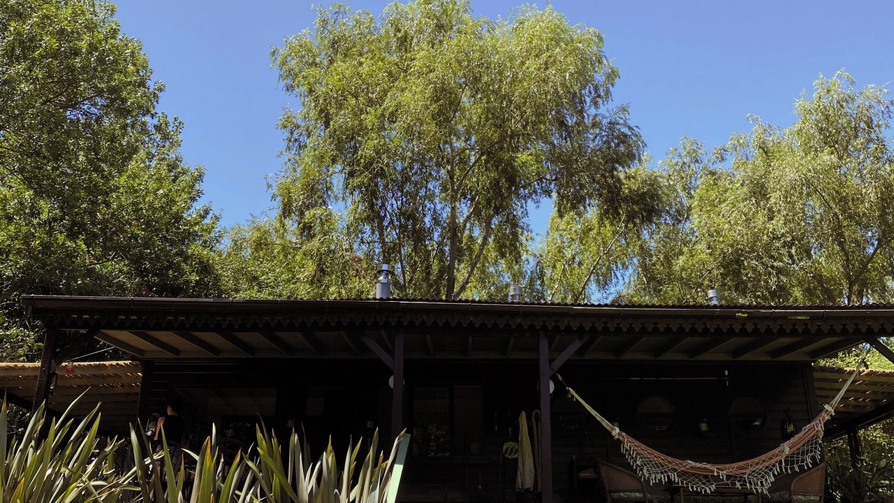 Photo of Outdoor in Segunda Seccion