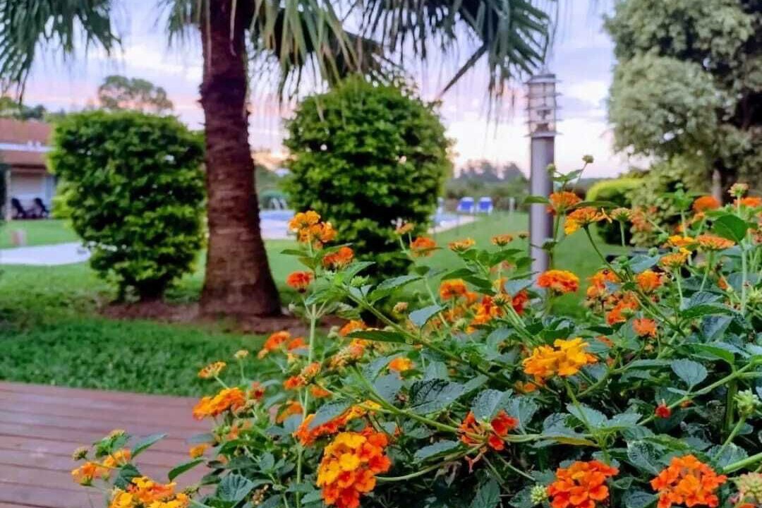 Photo of Outdoor in Federacion