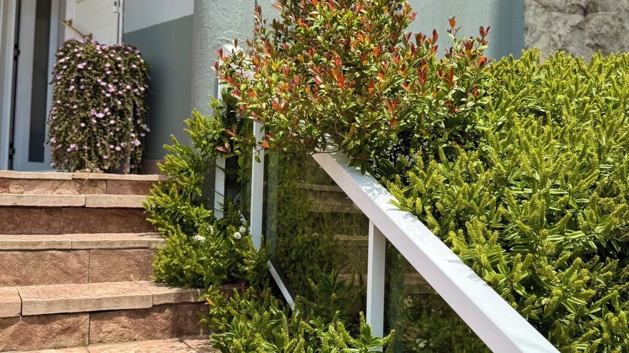 Photo of Outdoor in Punta Mogotes