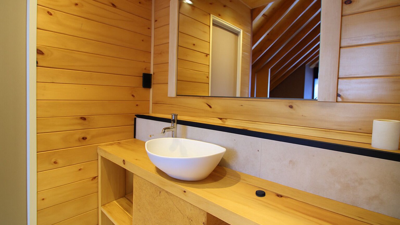 Photo of Bathroom in Las Lenas