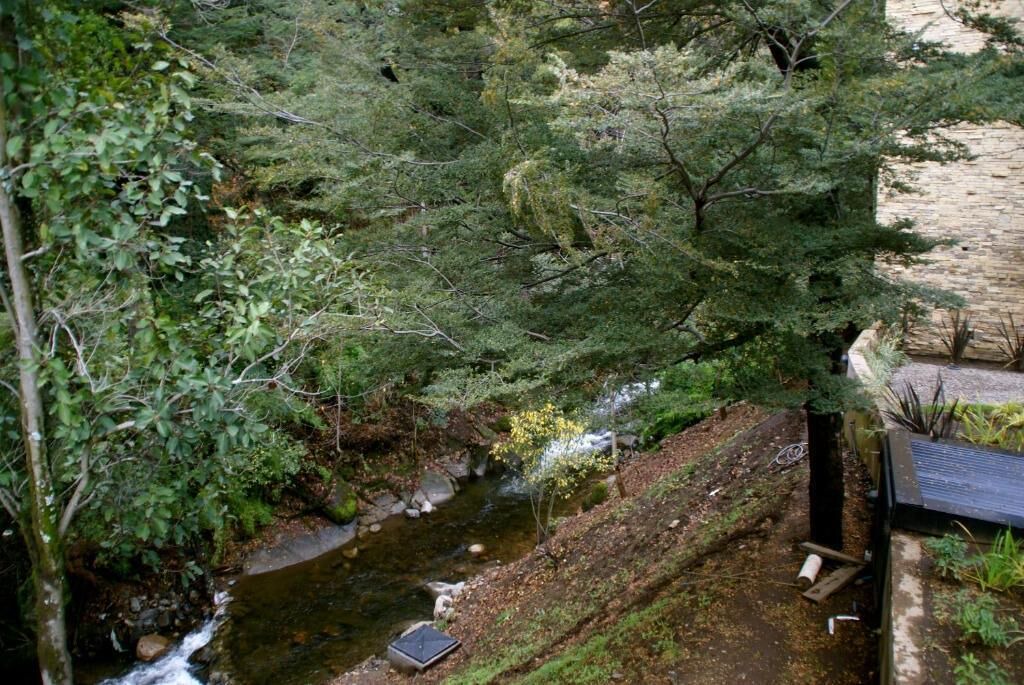 Photo of Outdoor in Lanin National Park