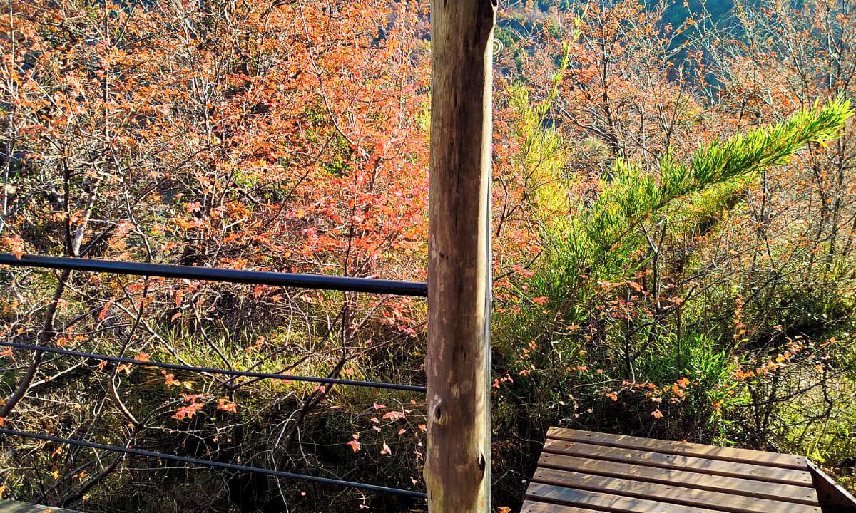 Photo of Outdoor in Neuquen