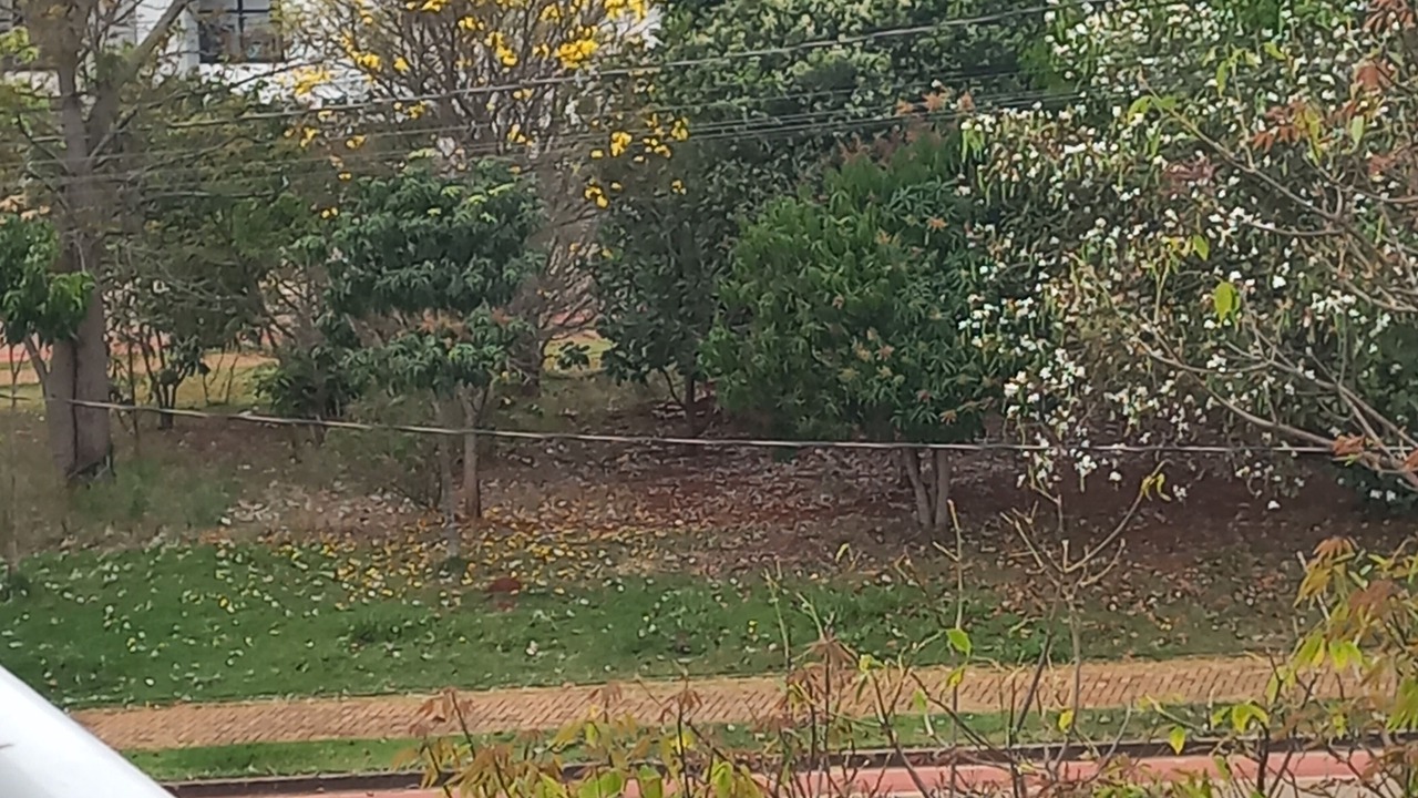 Photo of Outdoor in Boituva