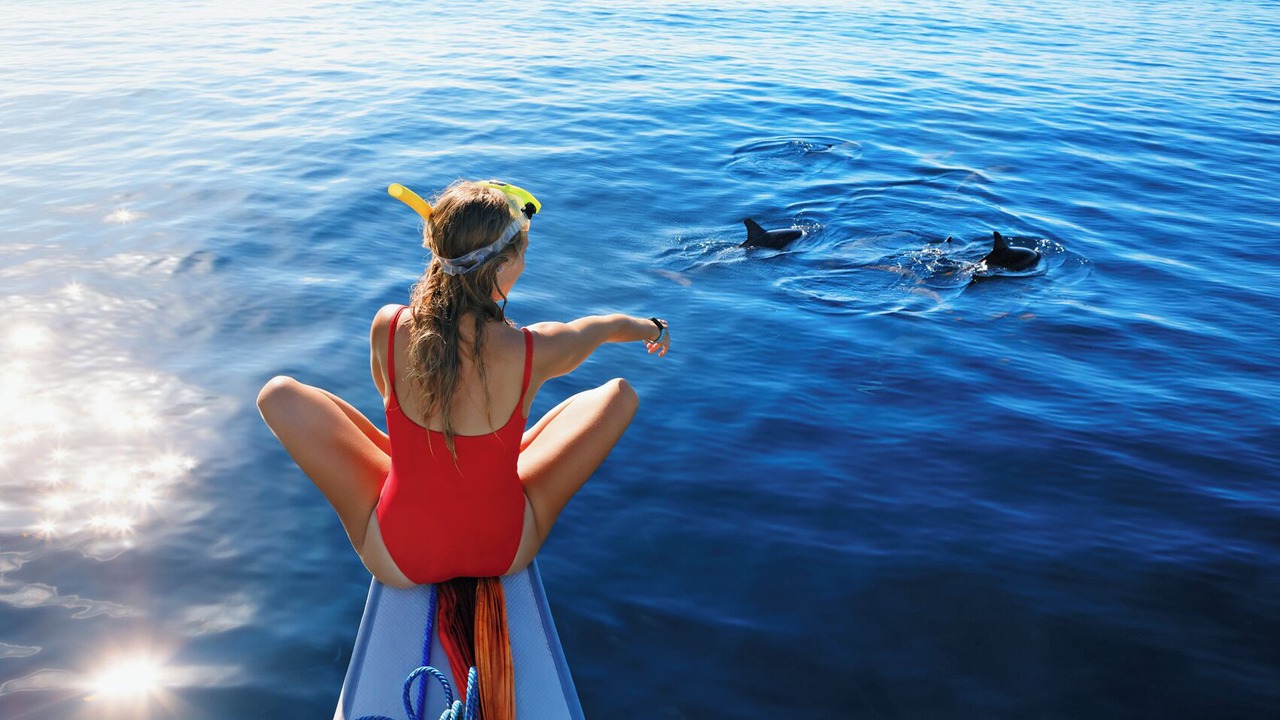 Photo of Others in Paraty