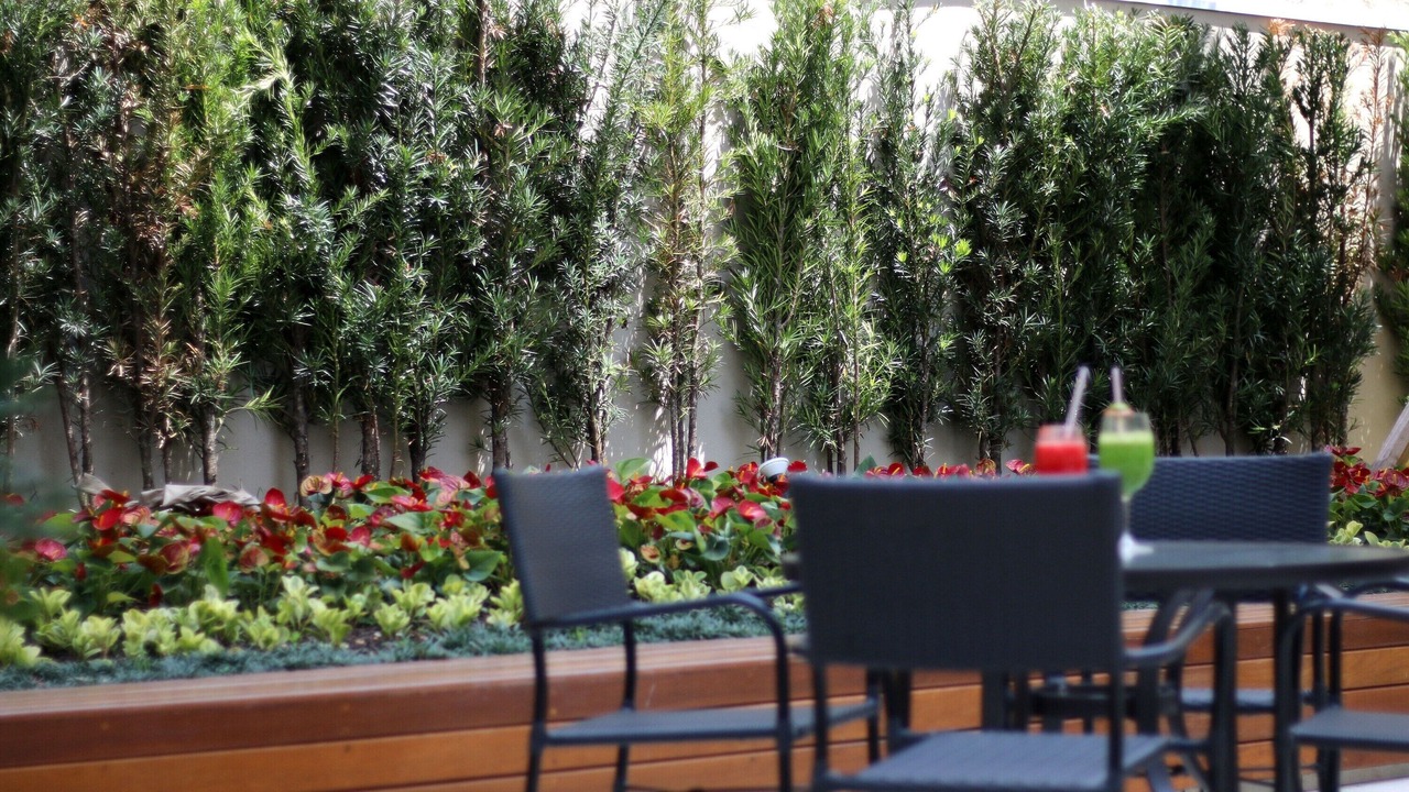 Photo of Outdoor in Sao Paulo