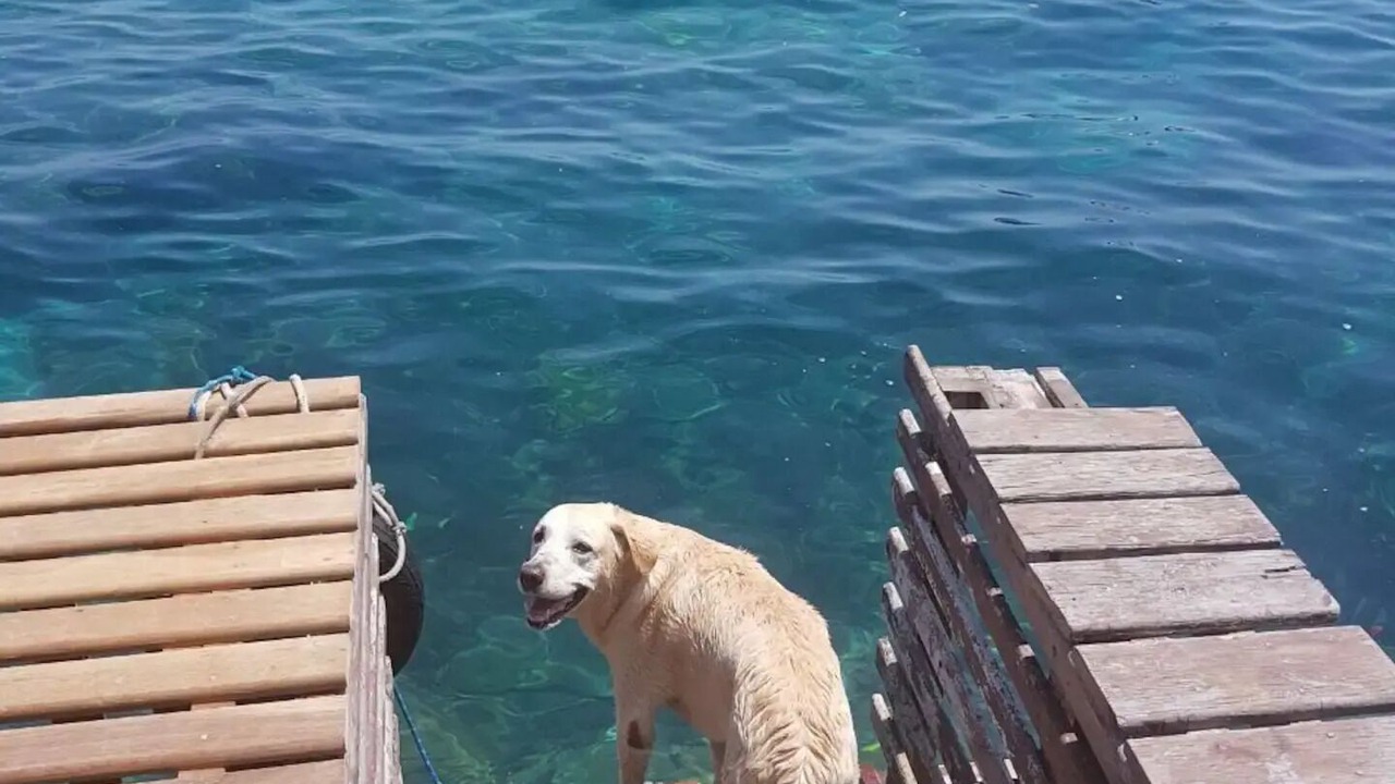 Photo of Others in Ilha Grande