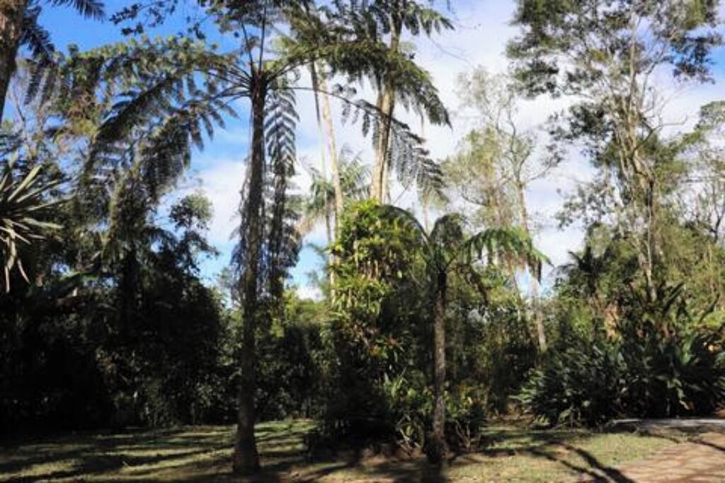 Photo of Outdoor in Regiao Visconde de Maua