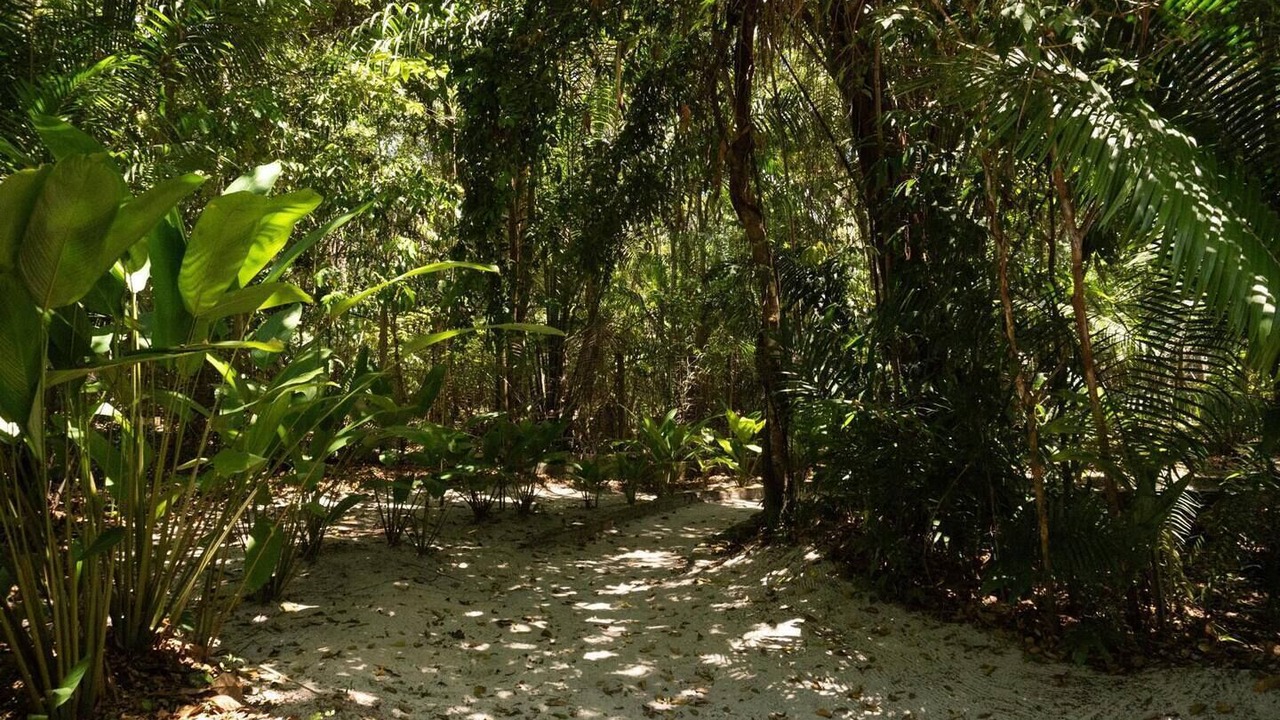 Photo of Outdoor in Serra Grande