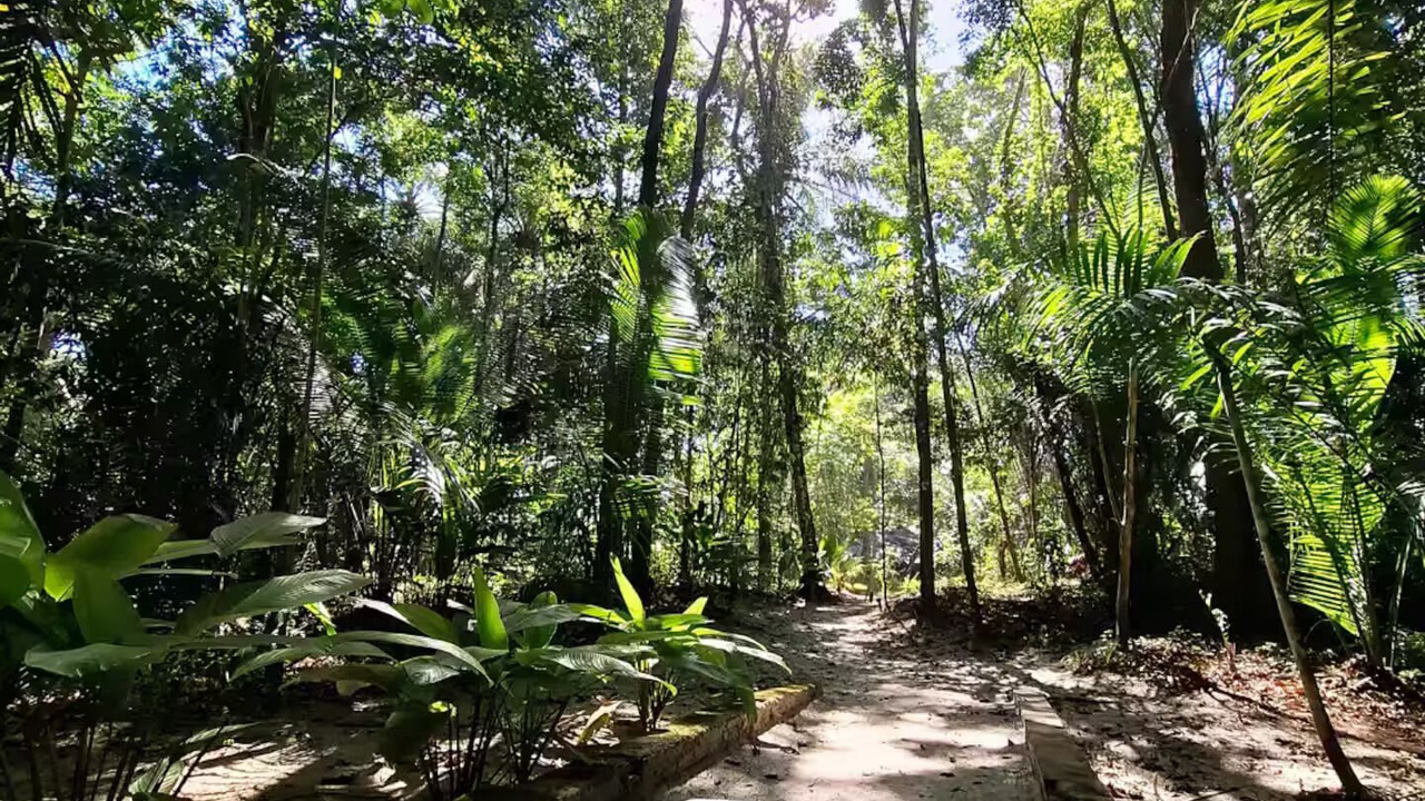 Photo of Others in Serra Grande