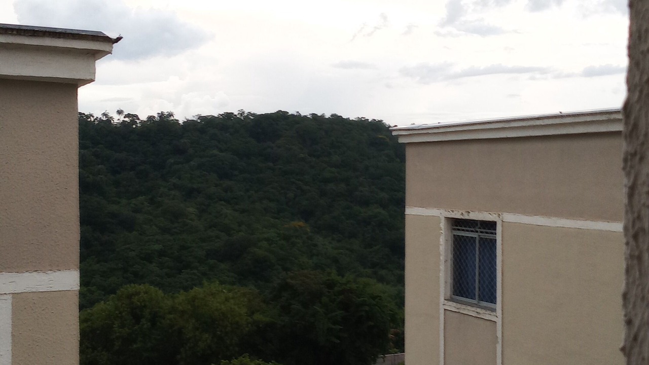 Photo of Others in Betim