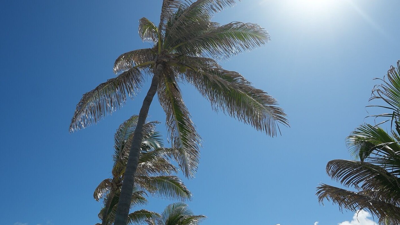 Photo of Outdoor in Caponga