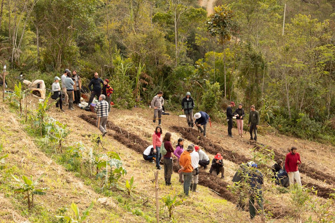 Photo of Others in Sao Pedro de Alcantara
