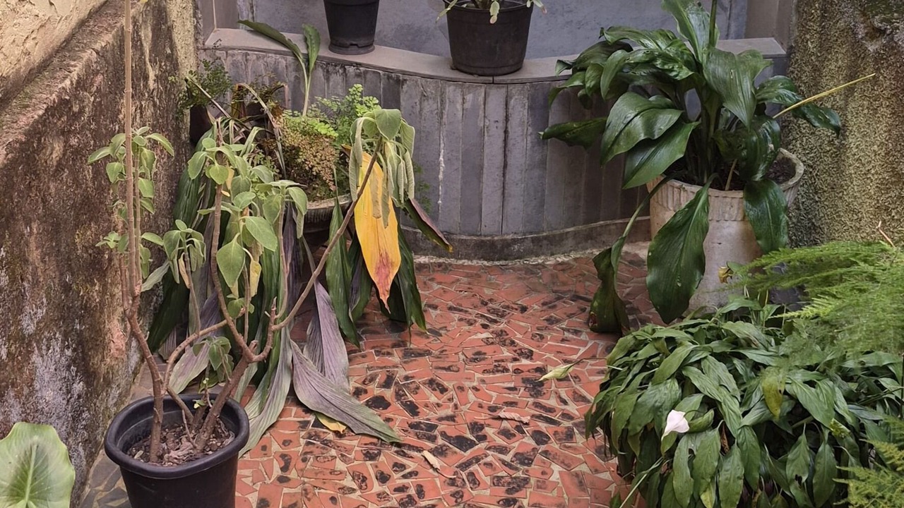 Photo of Outdoor in Centro