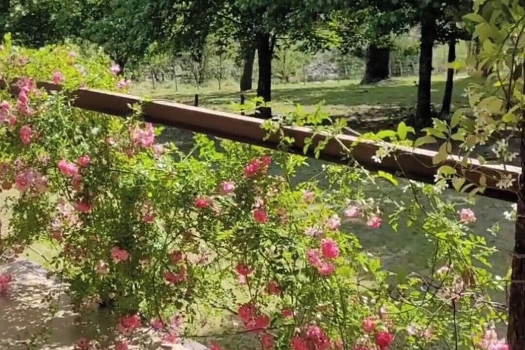 Photo of Outdoor in Calamuchita Department