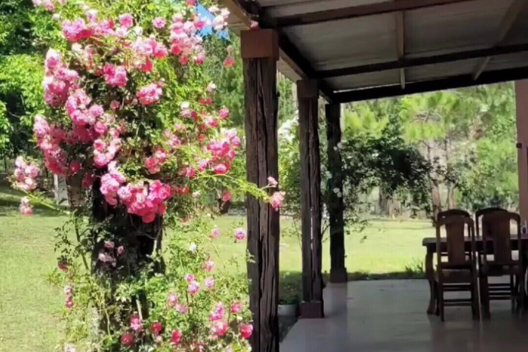 Photo of Outdoor in Calamuchita Department