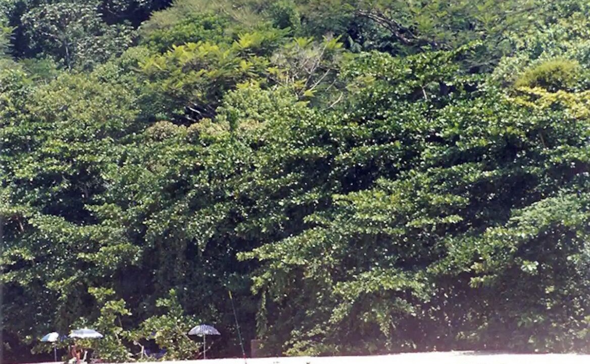 Photo of Others in Felix