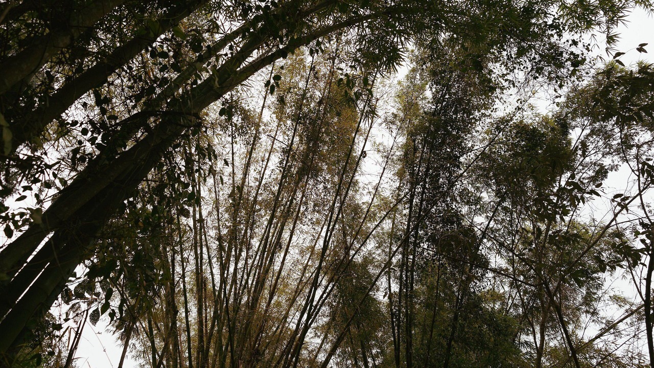 Photo of Others in Domingos Martins